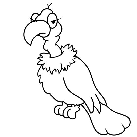Vulture desenhos de aves desenhos infantis para colorir desenho