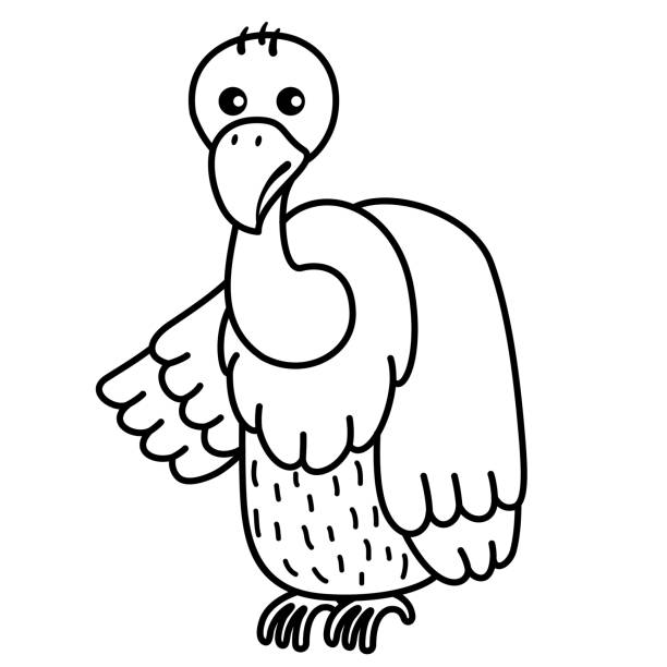 Vulture coloring page stock illustrations royalty