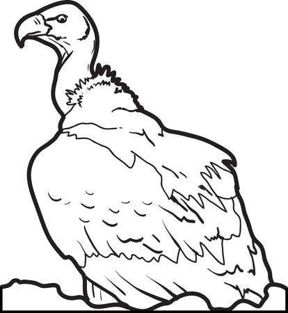 Free birds coloring pages for kids