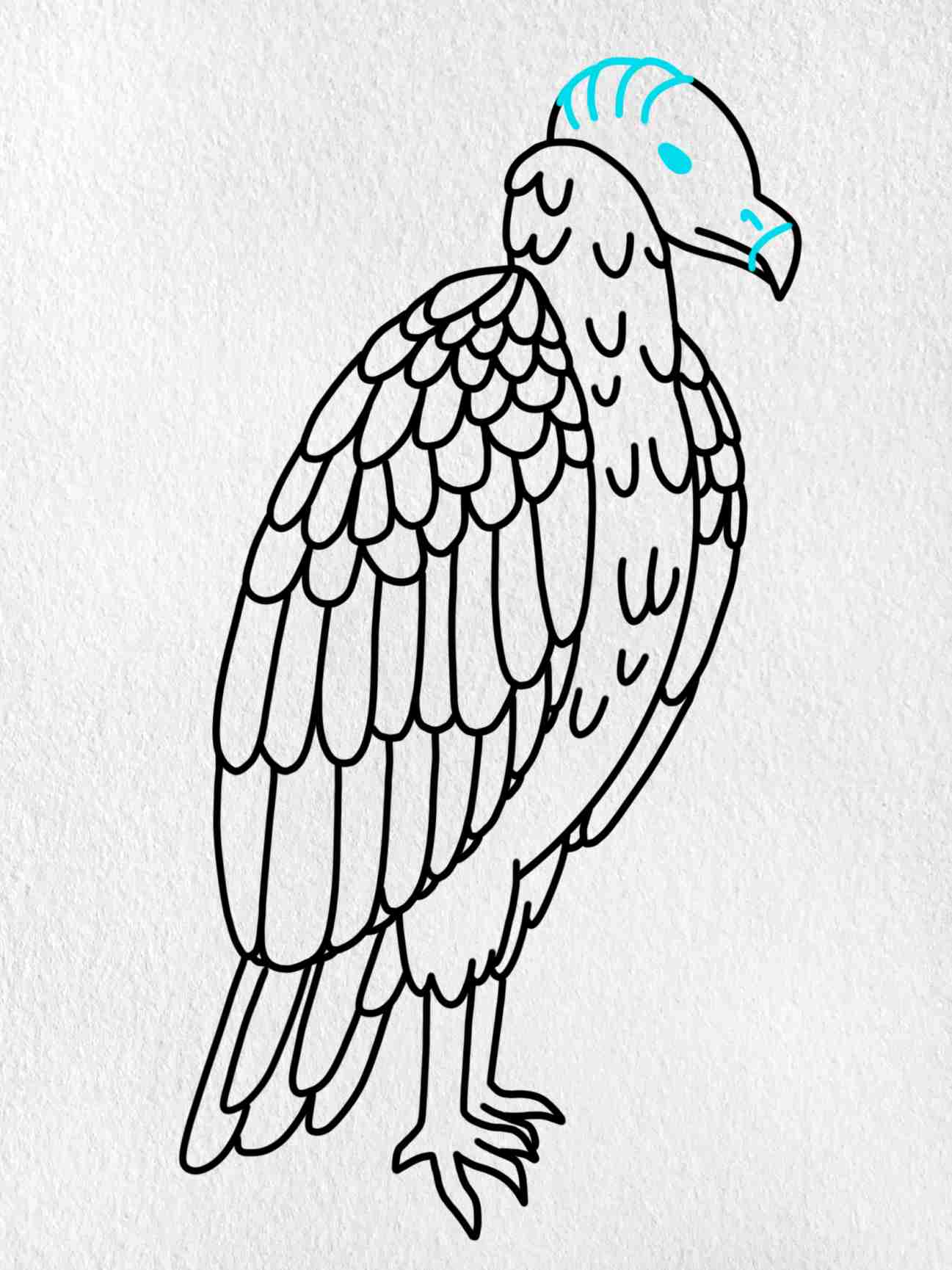 How to draw a vulture