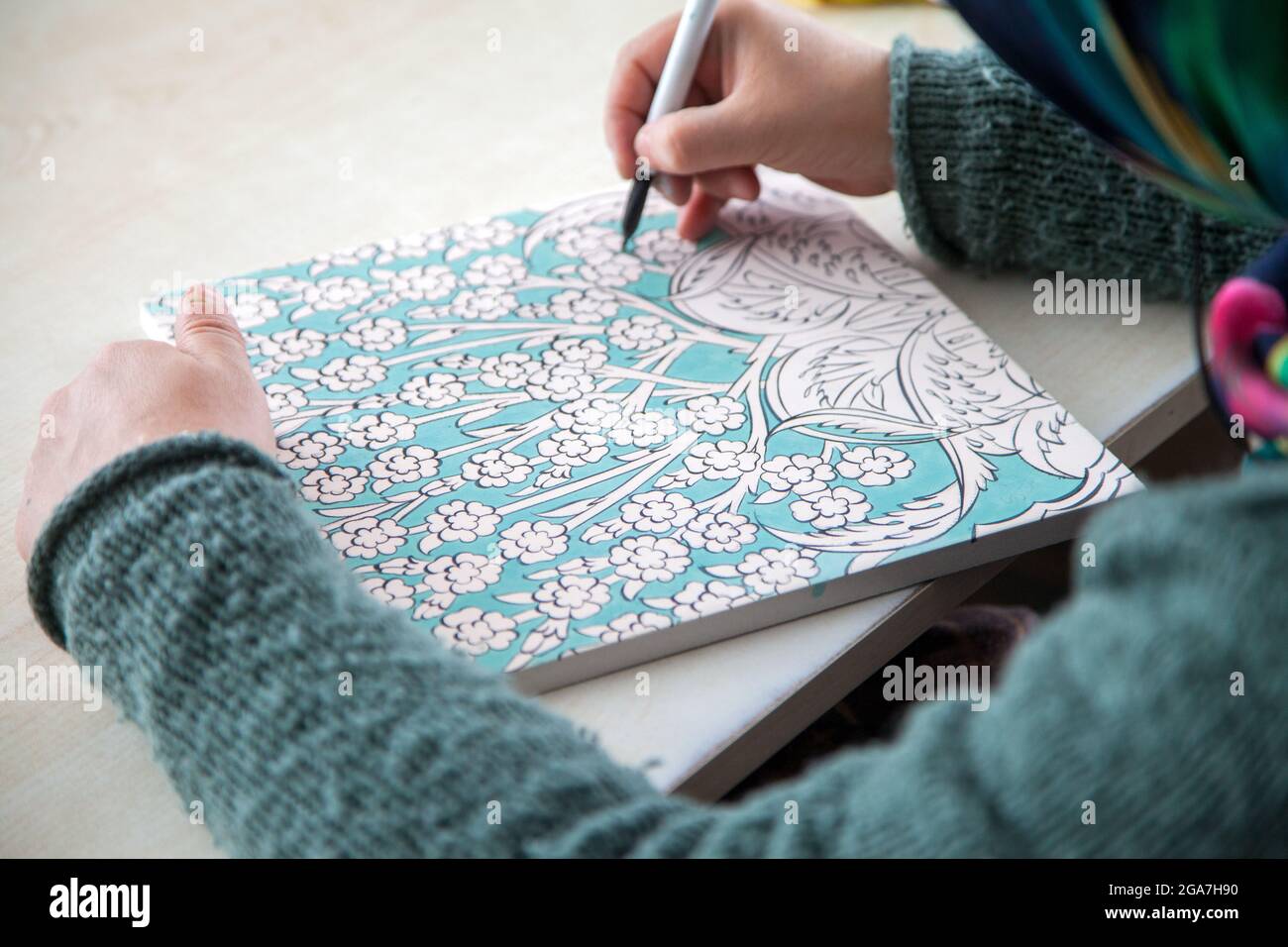 Iznik turkey
