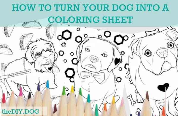 How to turn your dog into a coloring page