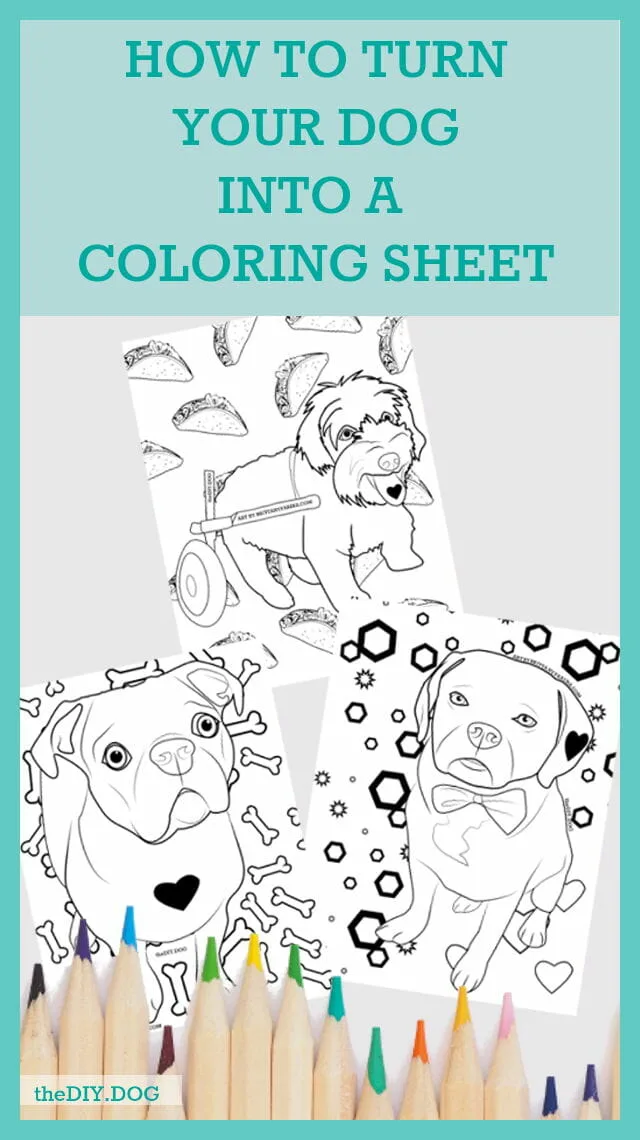 How to turn your dog into a coloring page
