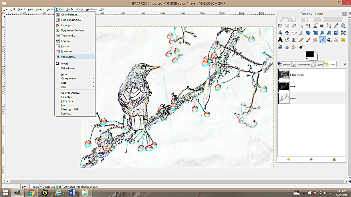 Making coloring pages from photographs using gimp