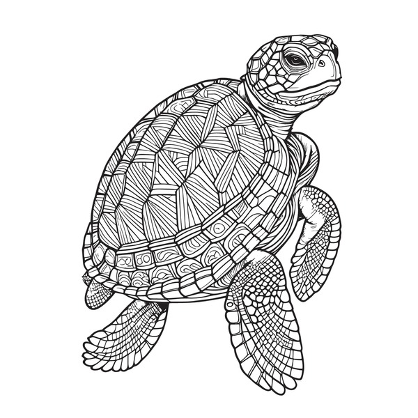 Thousand coloring book turtle royalty