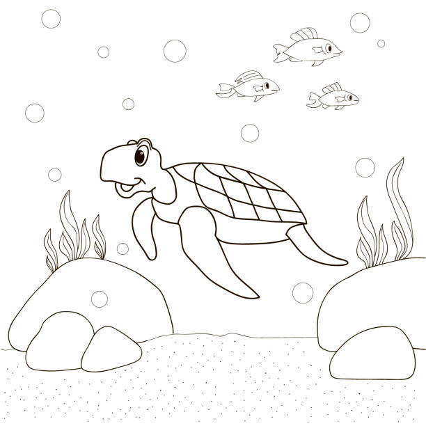 Sea turtle outline drawings stock illustrations royalty