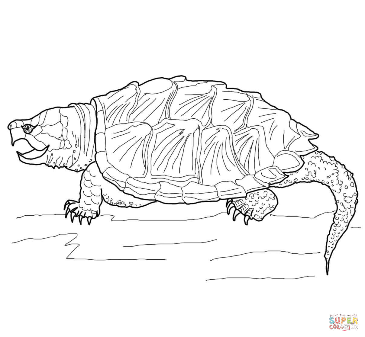 Alligator snapping turtle coloring page free printable coloring pages