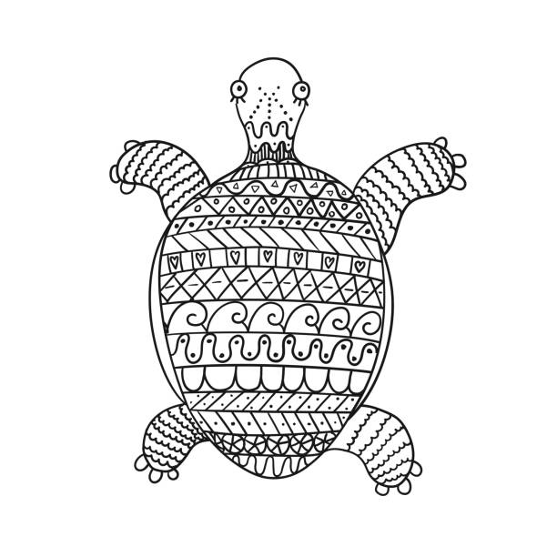 Sea turtle outline drawings stock illustrations royalty