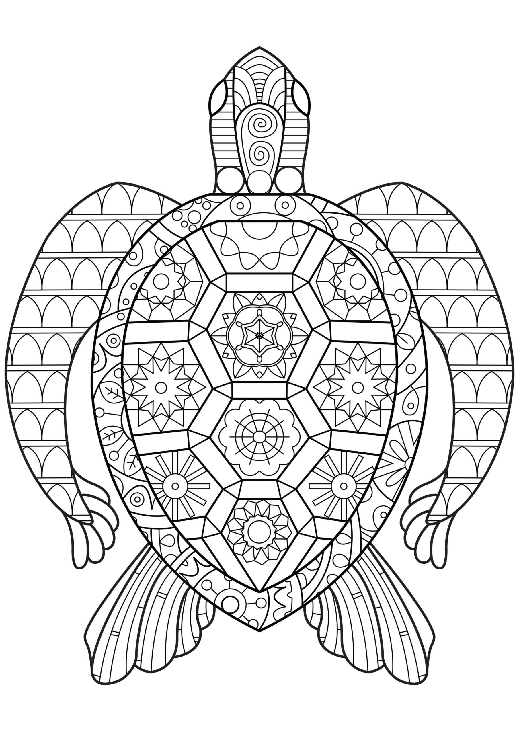 Coloring pages coloring pages zen turtle sheets turtles adult extraordinary picture inspirations free sea scaled