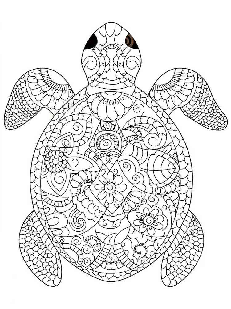 Turtle coloring pages for adults