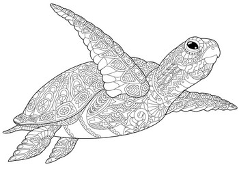 Adult turtle coloring pages vector images over