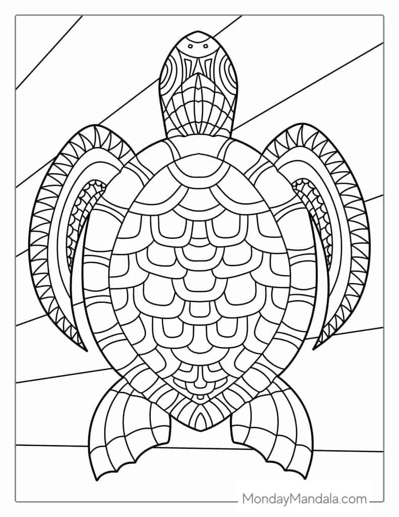 Turtle coloring pages free pdf printables