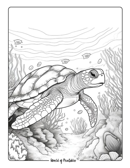 Turtle coloring pages for kids adults