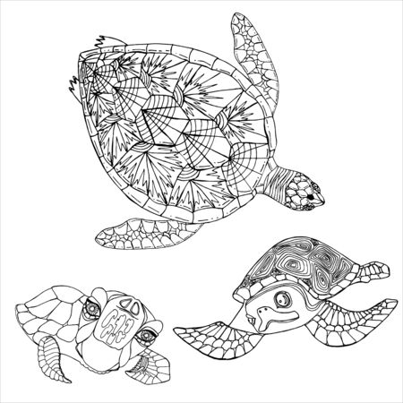 Adult coloring pages turtles stock illustrations cliparts and royalty free adult coloring pages turtles vectors