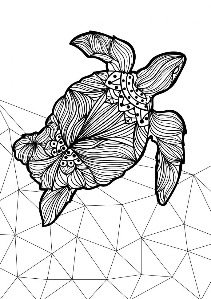 Printable adult turtle coloring page