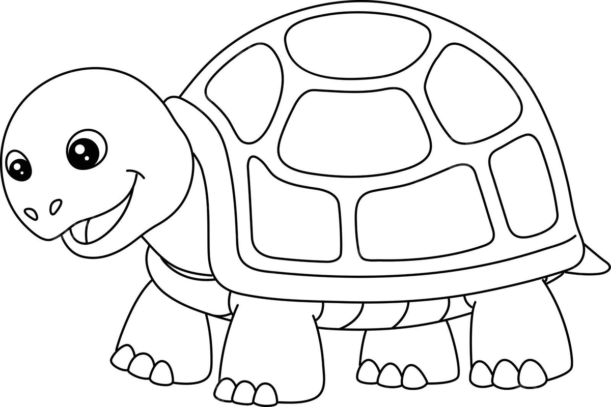 Turtle coloring page isolated for kids outline terrapin underwater vector turtle drawing water drawing underwater drawing png and vector with transparent background for free download