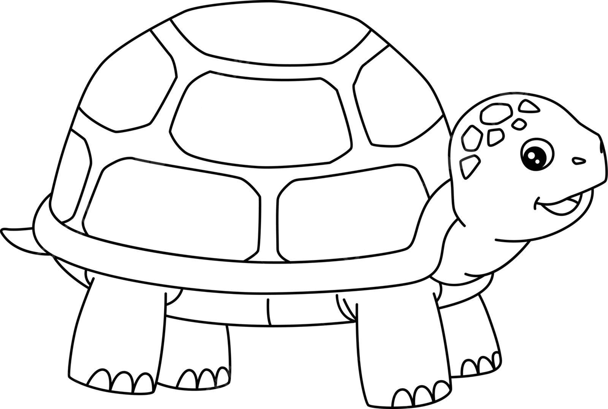 Turtle coloring page isolated for kids colouring page page coloring vector colouring page page coloring png and vector with transparent background for free download