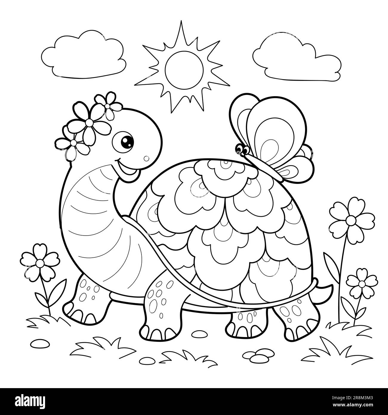 Tortoise stock vector images