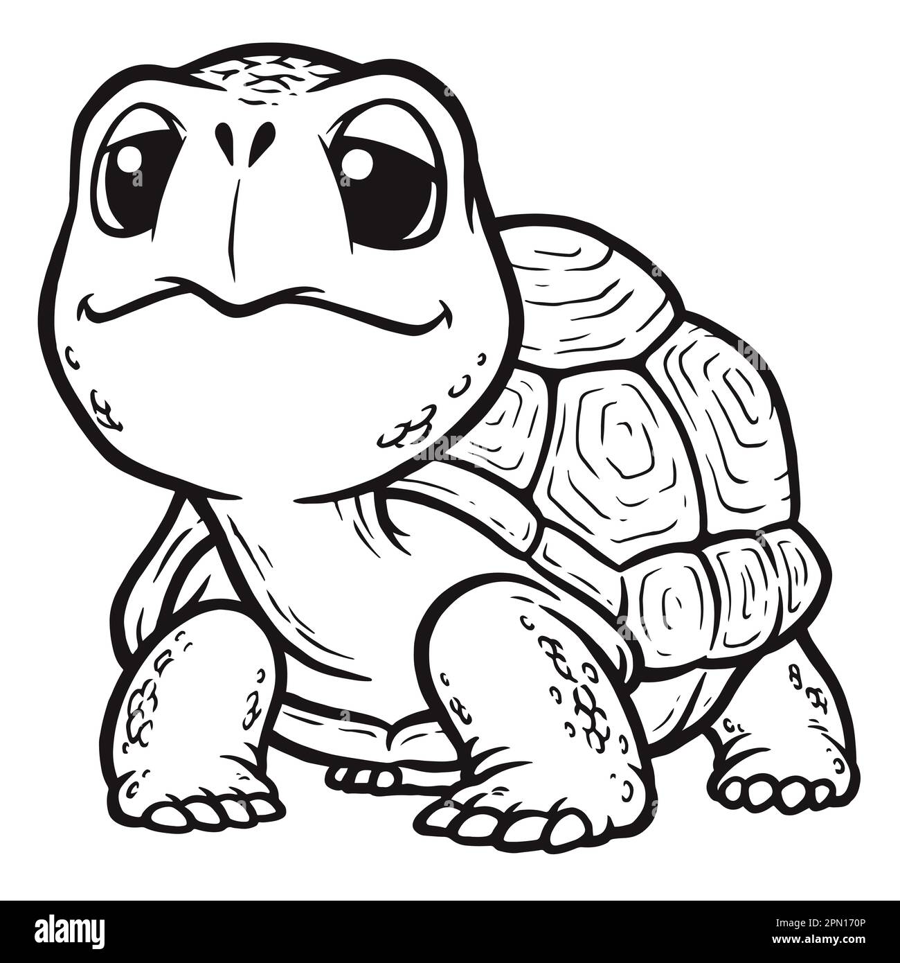 Galapagos tortoise illustration hi