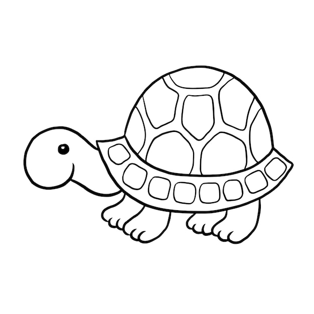 Premium vector turtle cartoon animal cute kawaii doodle coloring page drawing