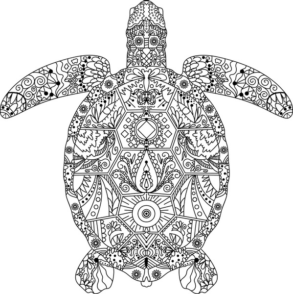 Adult coloring pages turtles images stock photos d objects vectors