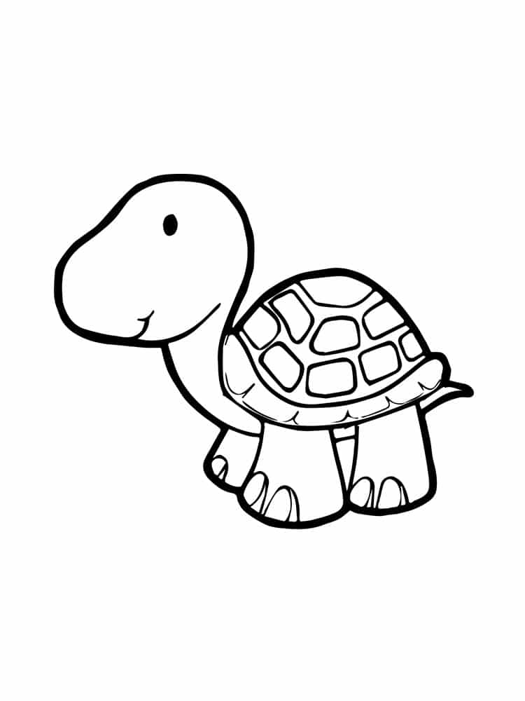 A simple drawing of a small land turtle coloring page