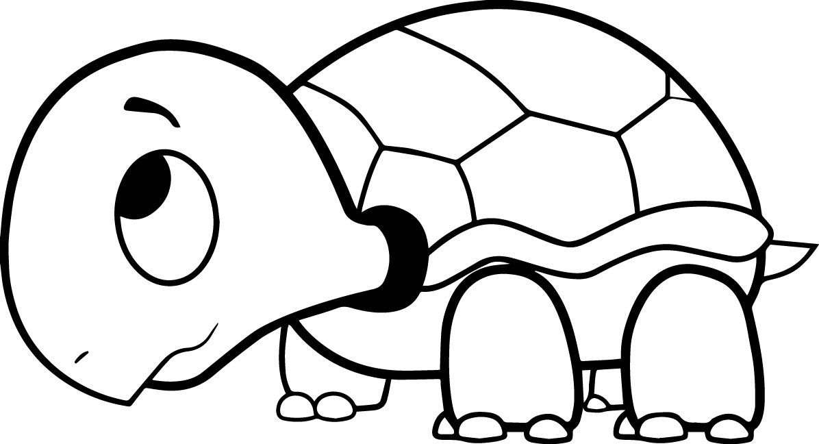 Coloring pages of a turtle yetiåkin boyama sayfalarä ãizgi film ãizimi hayvan boyama sayfalarä