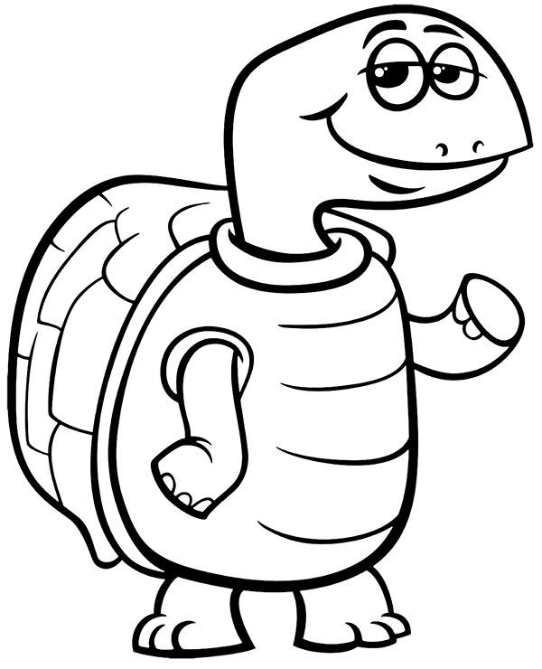 Coloring page turtle cartoon