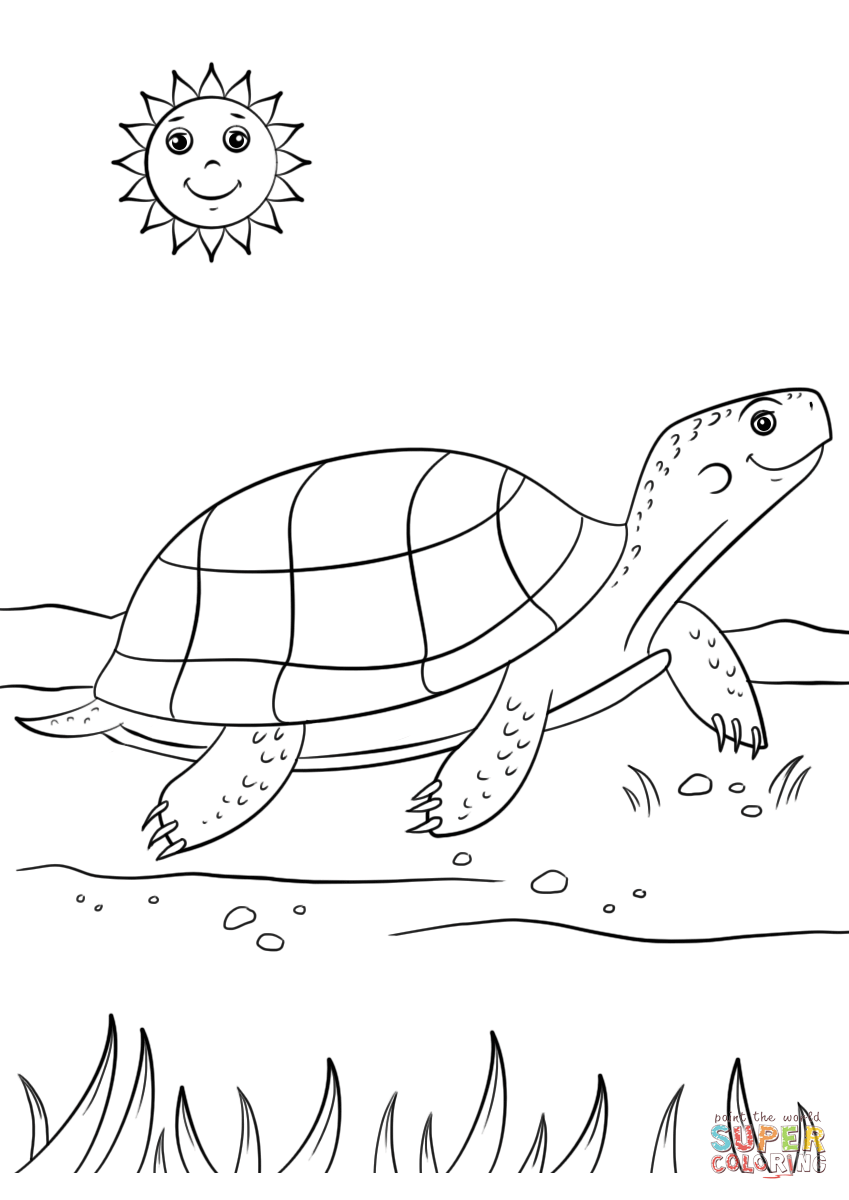 Cartoon turtle coloring page free printable coloring pages