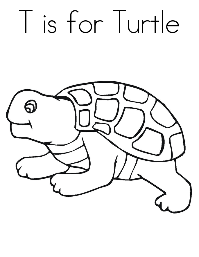 Free printable turtle coloring pages for kids
