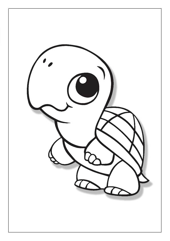 Turtle coloring pages free printable coloring sheets for kids