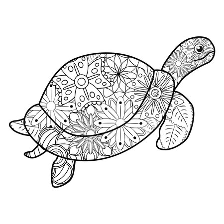 Turtle coloring page stock photos and images