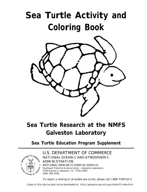 Sea turtle activity and coloring book