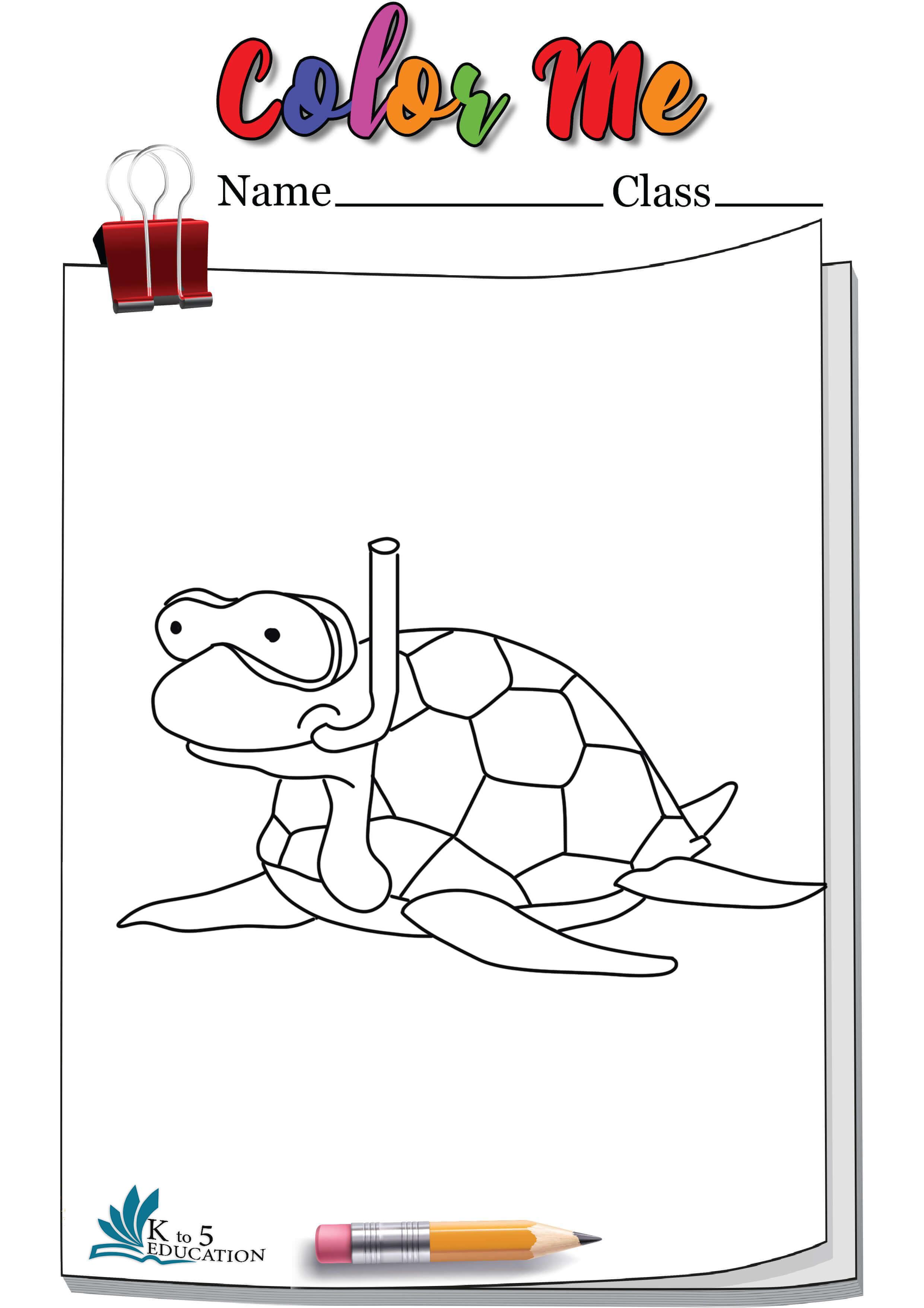 Turtle colorg pages colored free download check more at httpsktoeducationturtle