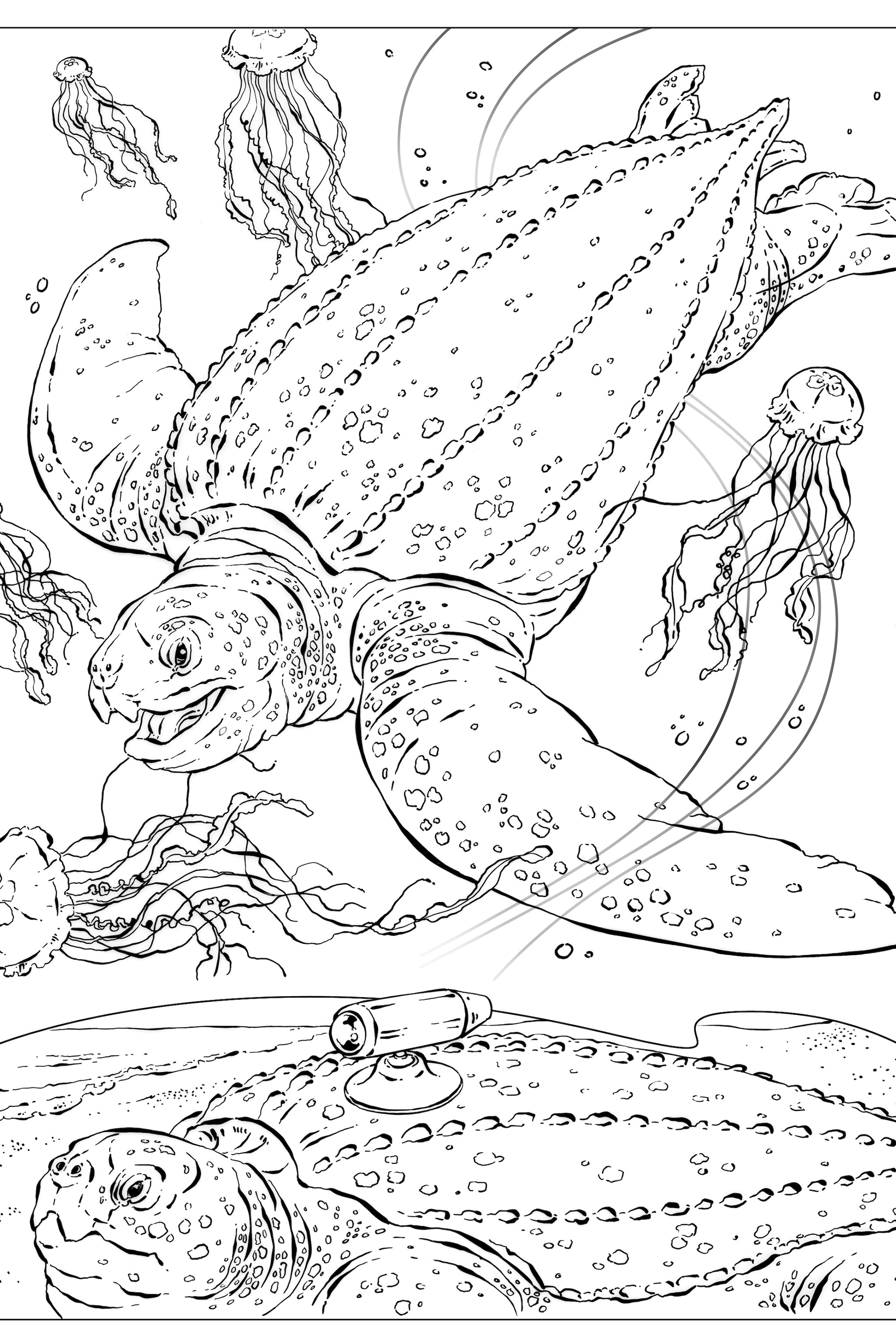 Coloring book animals j to z