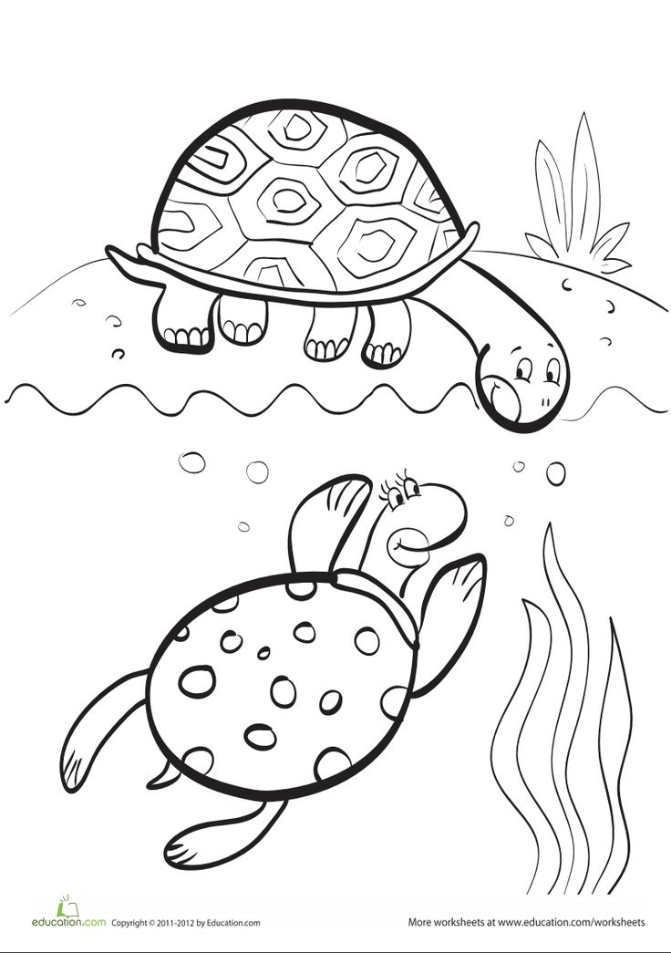 Turtles coloring page turtle coloring pages whale coloring pages cool coloring pages