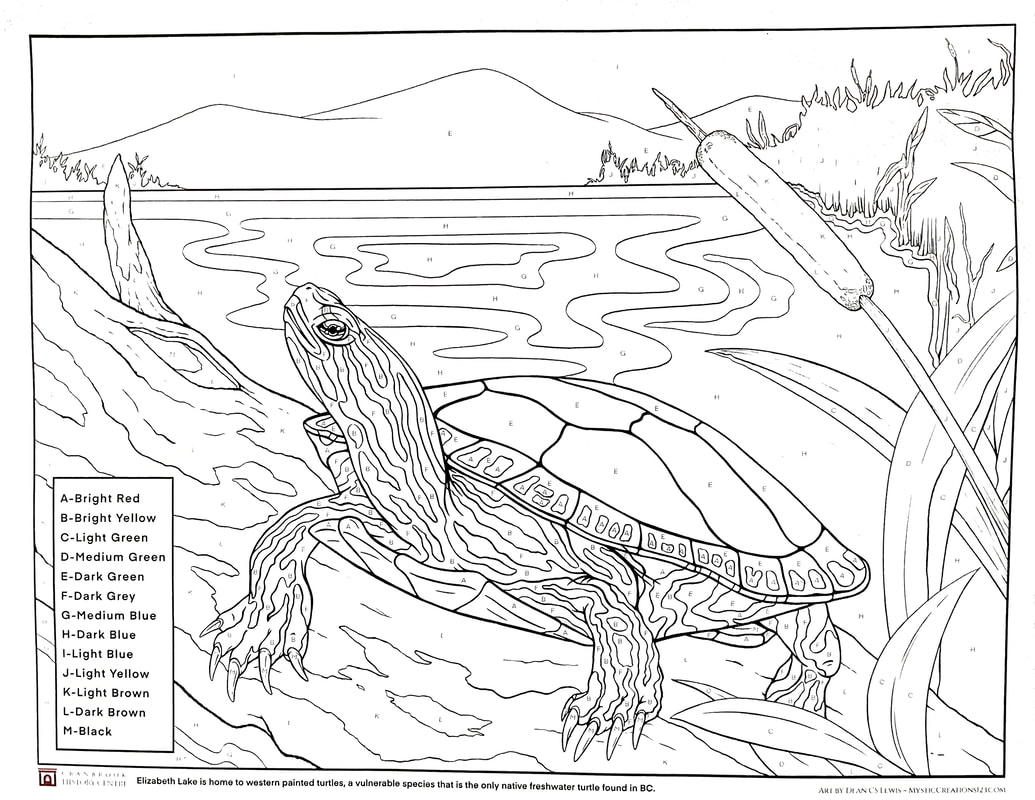 Rocky mountain naturalists