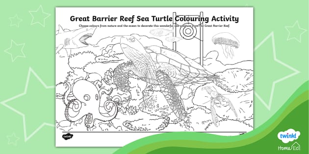 Great barrier reef sea turtle colouring activity