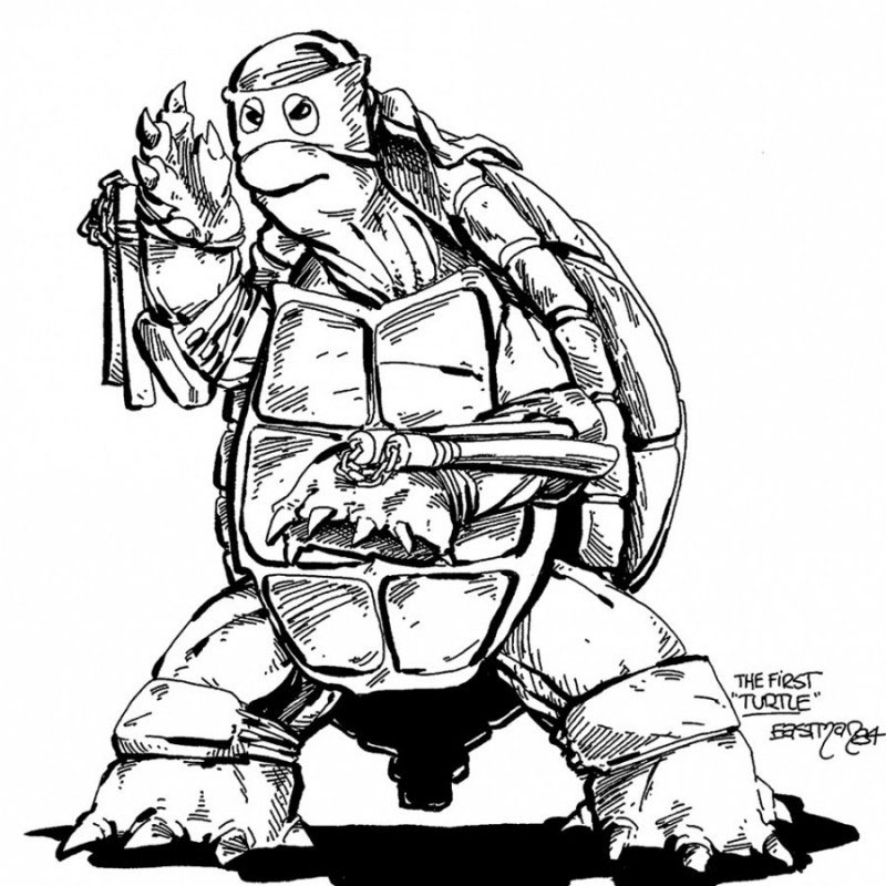 Turtle powah