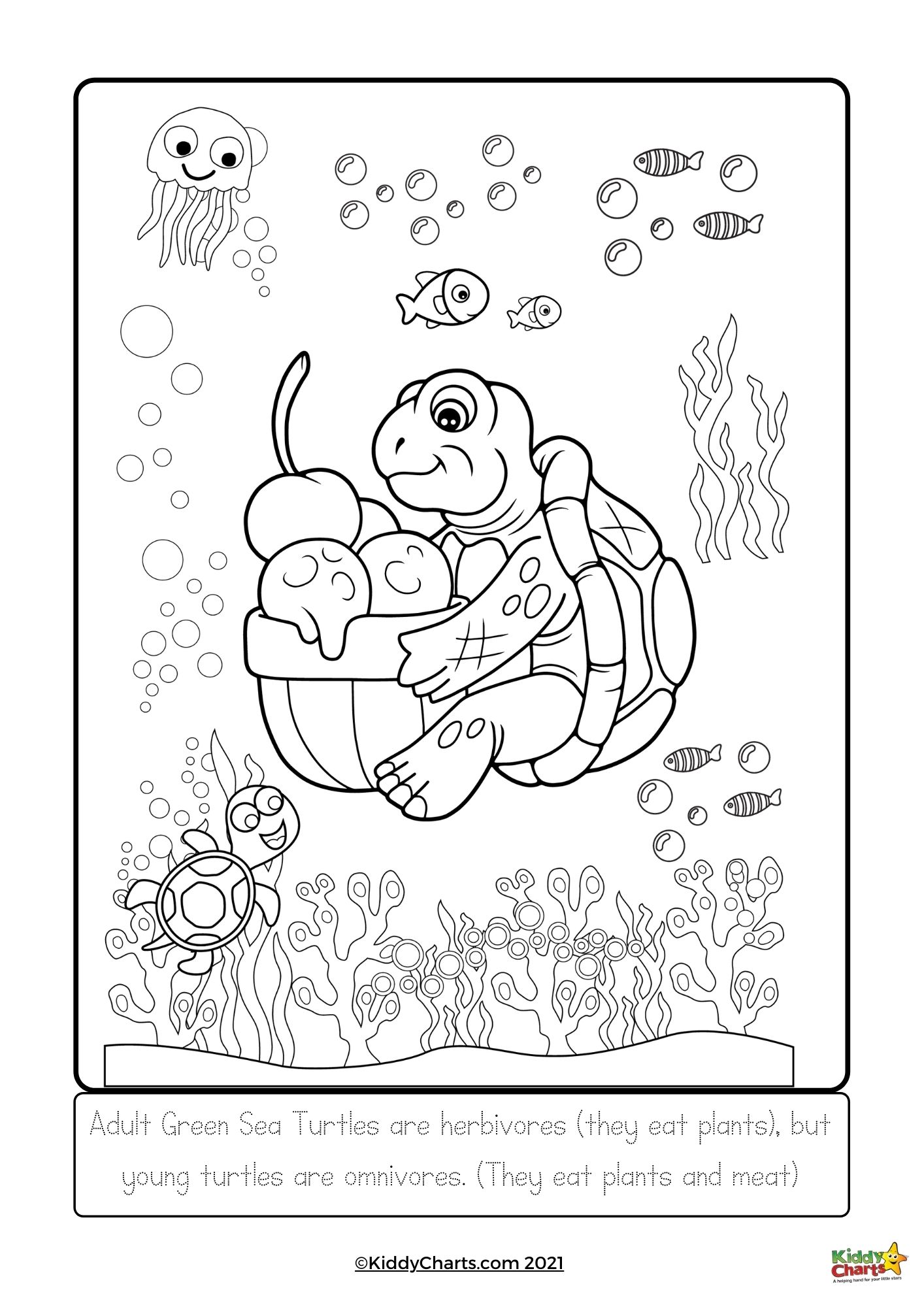 Turtle coloring pages turtle colouring and facts