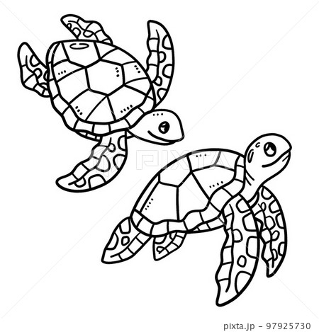 Baby turtle isolated coloring page for kids