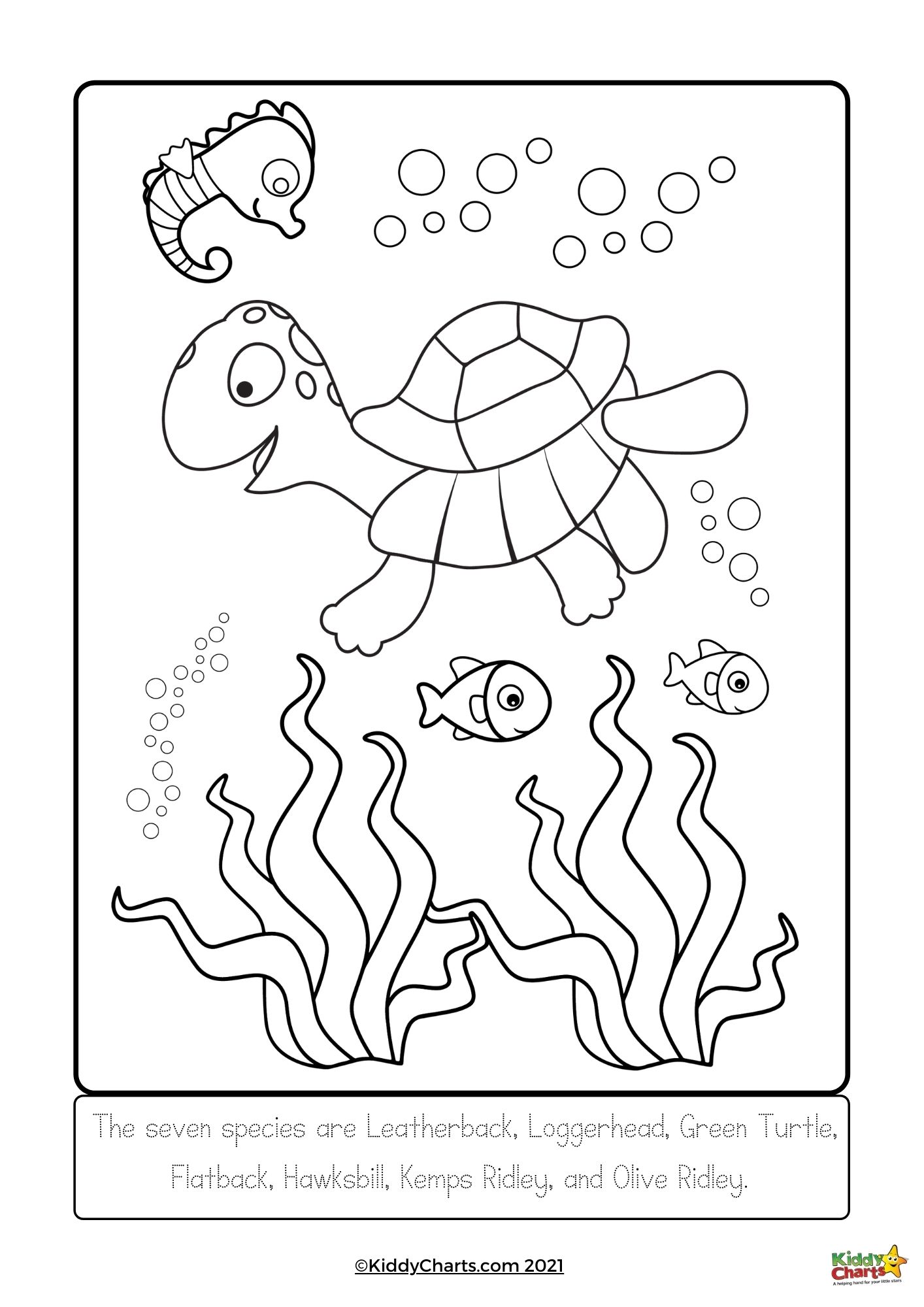 Turtle coloring pages turtle colouring and facts