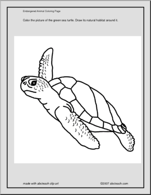 Coloring page green sea turtle