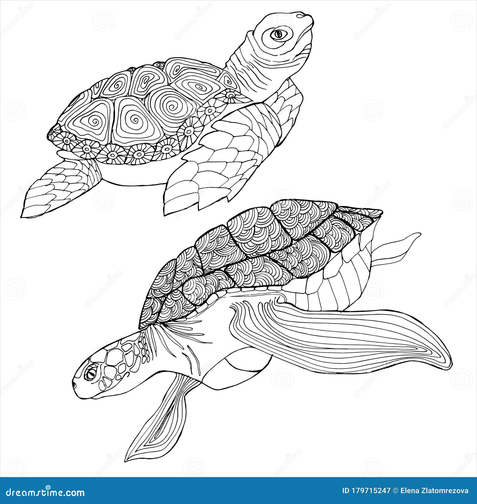 Sea turtle coloring book hand drawing coloring book for children and adults stock illustration