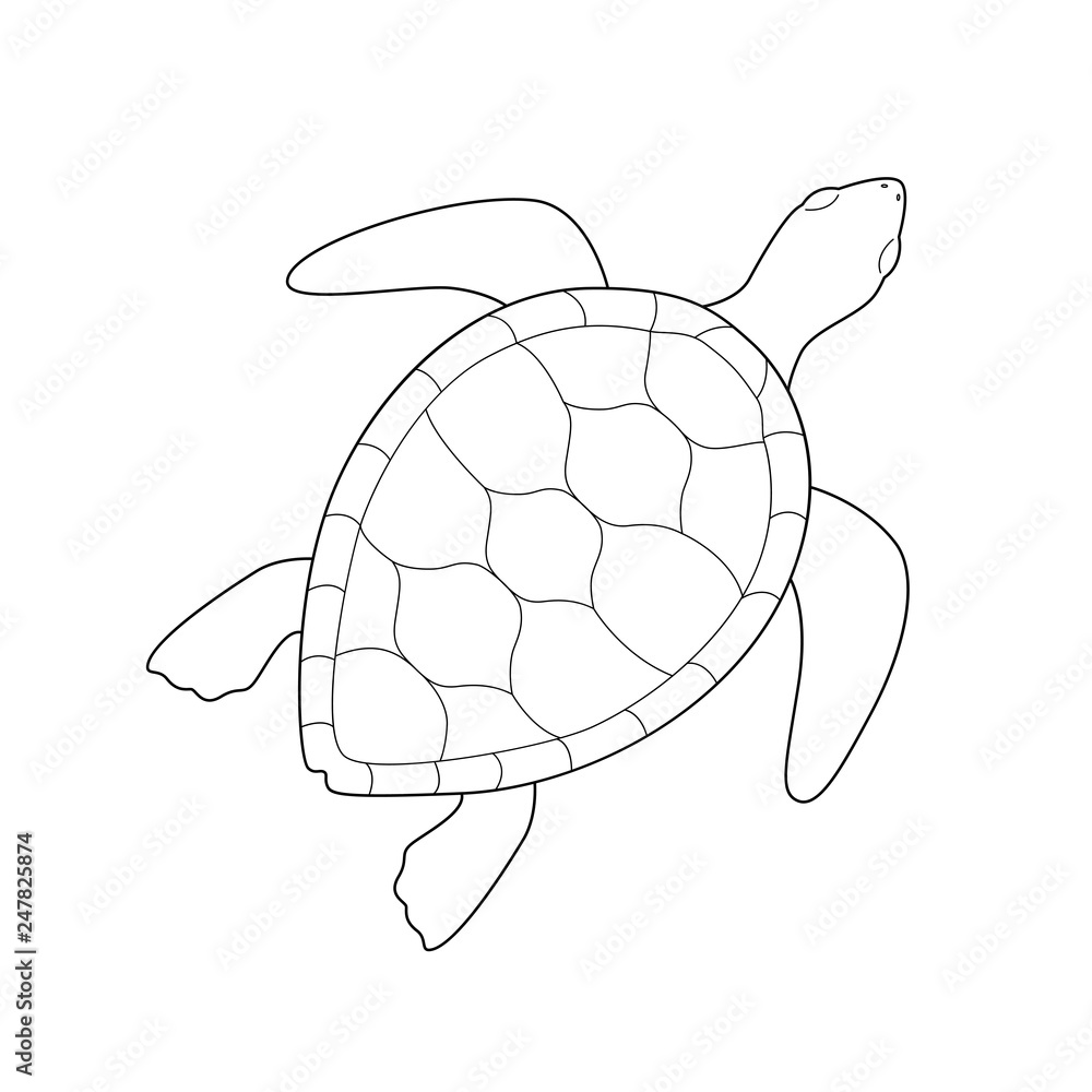 Isolated black outline monochrome sea green turtle on white background curve lines page of coloring book vector
