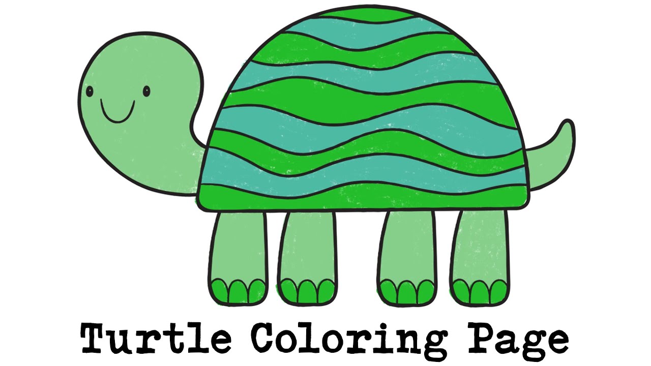 Turtle