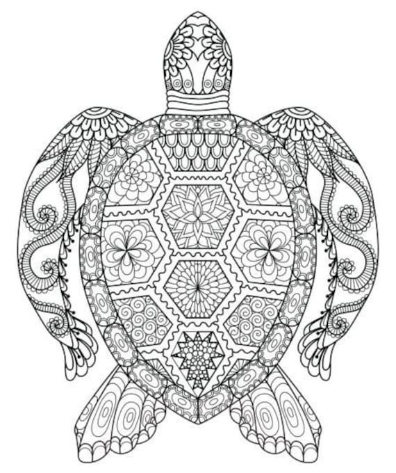 Turtle mandala coloring page