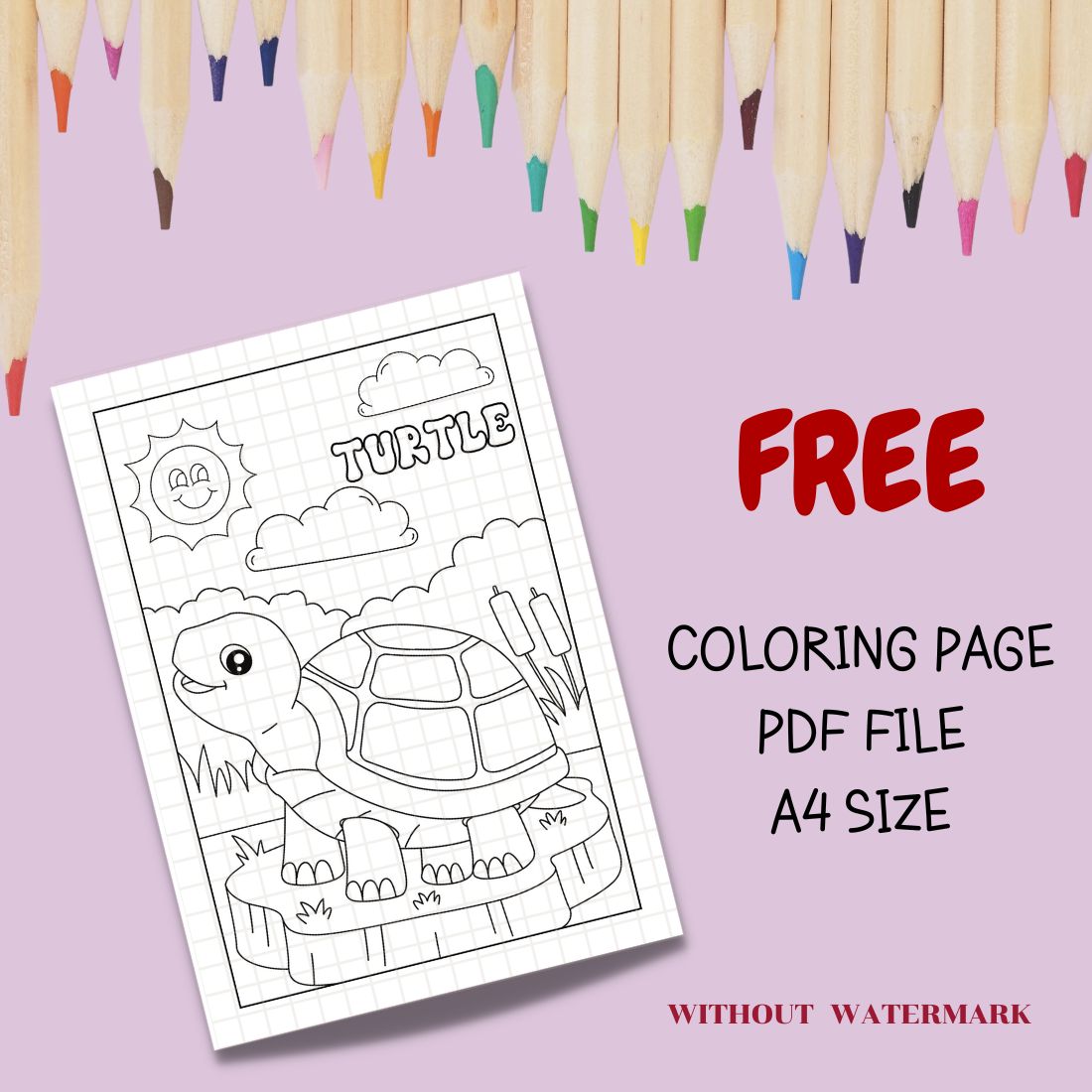 Free turtle coloring page