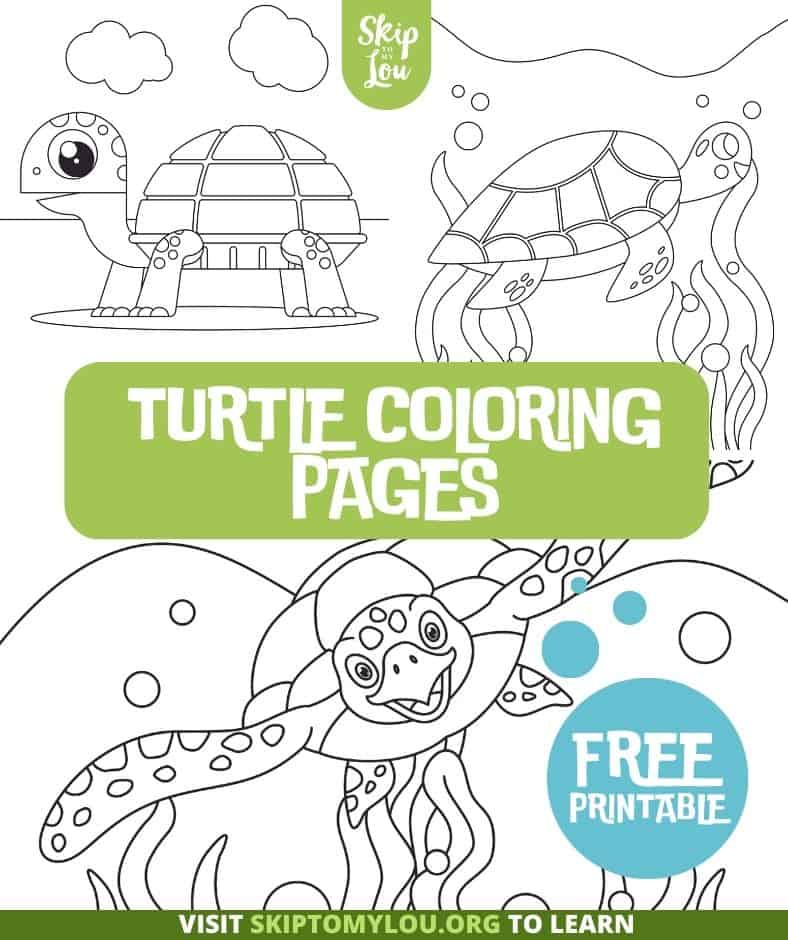 Turtle coloring pages