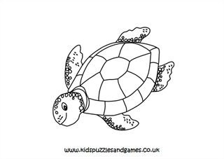 Ocean turtle louring page